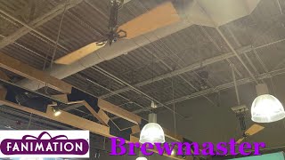 56" Fanimation Brewmaster Ceiling Fans