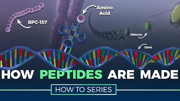 How Peptides Are Made - HOW TO SERIES