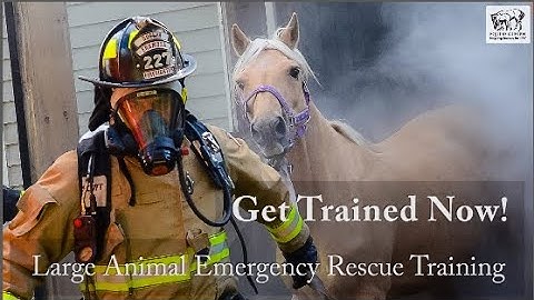 Large Animal Emergency Rescue Training Program - Promo Video