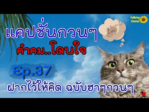 แคปชั้น  Update 2022  แคปชั่นกวนๆ คำคมโดนใจ Ep.37 ฝากไว้ให้คิด ฉบับ ฮาๆ กวนๆ