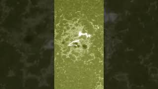 1600 from the Solar Dynamics Observatory