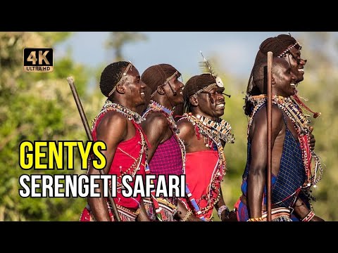 Video: 5 geriausių Afrikos kelionių ir safarių