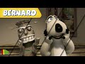 🐻‍❄️ BERNARD  | Collection 22 | Full Episodes | VIDEOS and CARTOONS FOR KIDS