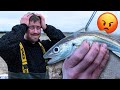 Fishing For The Most HATED Sea FISH in The UK?