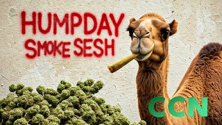 HumpDay Smoke Sesh