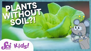 growing plants without soil squeaks grows a garden scishow kids