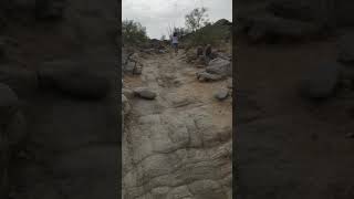 Sumunya 2018