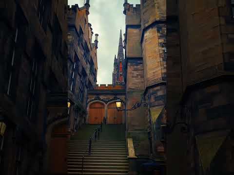 Harry Potter's dream