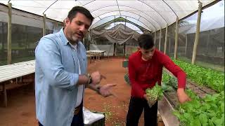 Globo Rural  Plantio de hortaliças na areia vem gerando bons resultados a agricultores paulistas