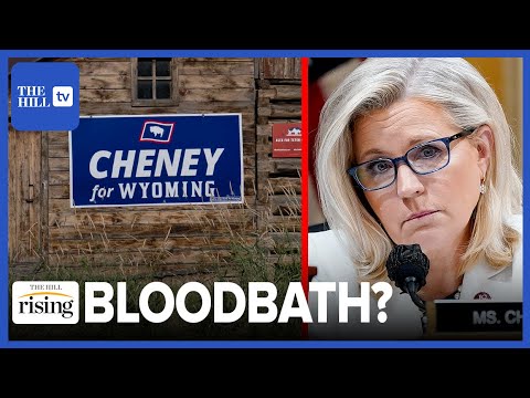 Liz Cheney Faces