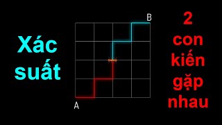 Xác suất để 2 con kiến gặp nhau? Bài toán thú vị