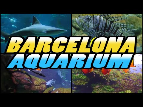 BARCELONA AQUARIUM (4K)