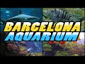 BARCELONA AQUARIUM (4k)