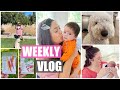 Weekly Vlog! MY NIECE, House Updates, Planting the Fall Garden & a Nordstrom Rack Haul | Fall 2021