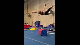 Aerial straps back flag combo