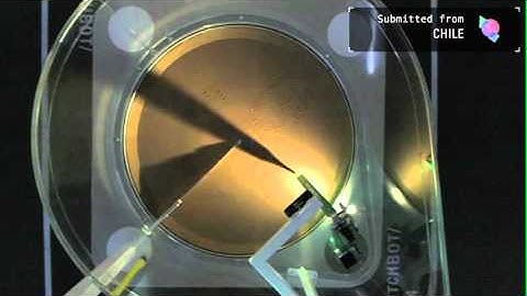 Web Lab: My Sketchbot Portrait