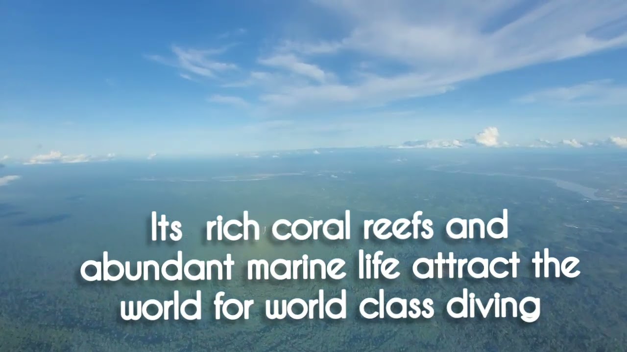 A clip to touch your heart, your green side of heart