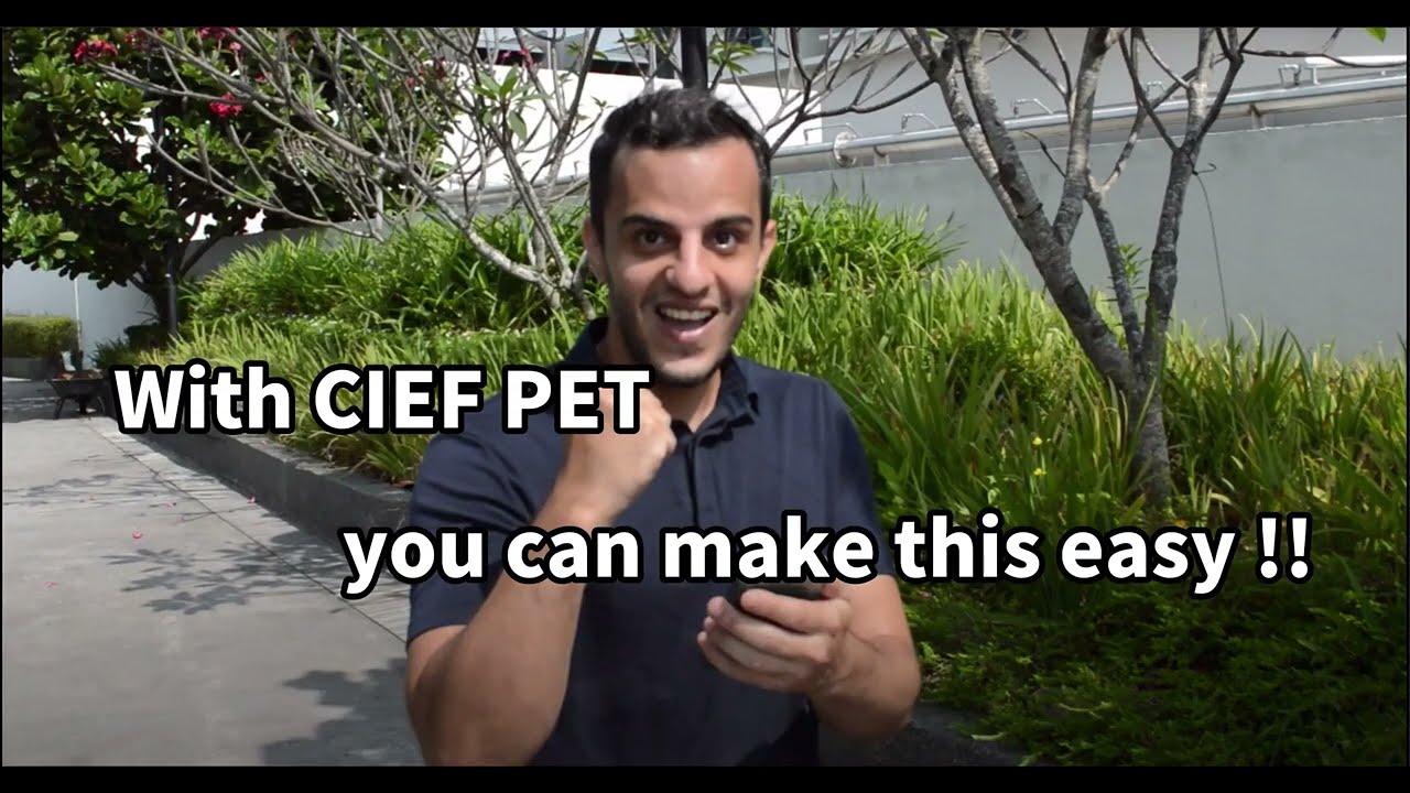 How to send your pet for vet and grooming | CIEF PET
