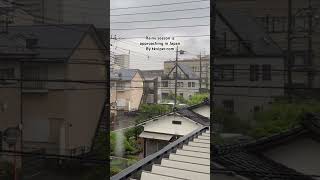 ASMR Japan Downpour Rain Loop 2024.05.08 Ambience Sound Sleep Meditate Relax Tokyo Suburb #rain