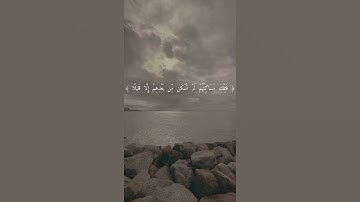 تلاوة من سورة القصص | ياسر الدوسري |#youtube #quran #reels #edit