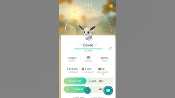 I CAUGHT A SHUNDO AND HUNDO EEVEE IN THE EEVEE COMMUNITY DAY IN POKEMON GO! HOW ABOUT YOU? #shorts