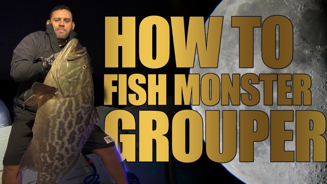 Grouper Fishing Cabo 🔥 How We Catch GIANTS (Deep Drop Techniques)
