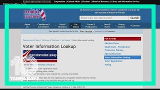 Here's how to request a mail-in ballot in Florida