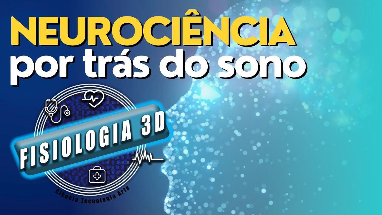 Como Funciona o Ciclo do Sono? Fases, Neurofisiologia e Qualidade do ...