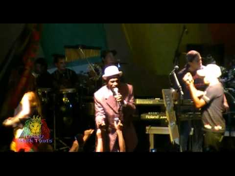 The Maytones Loving Reggae The Maytones Loving Reggae