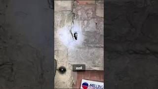 She Found An Eye Inside The Wall