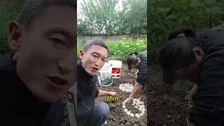 Grow Fresh Garlic Shoots At Home In Just 15 Days