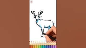 How to draw a deer || Easy Tricks of Deer Drawing #trending #ytshorts #shortvideo #outlinedrawing