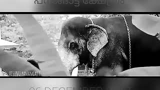 Mangalamkunnu Ayyappan