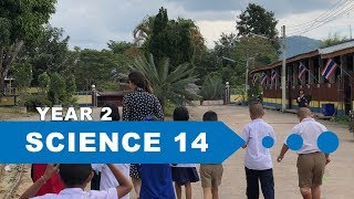 Year 2 Science, Lesson 14, How Animals Grow