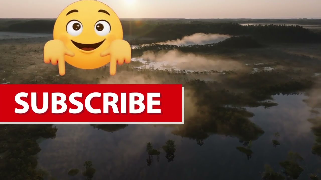 MR.MOBBYNG - Tu kitoks ( meilės daina ) ( užsakytas kurinys )