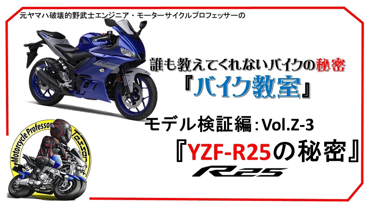 YZF-R25低距離メンテ済み YZF-R25低距離メンテ済み