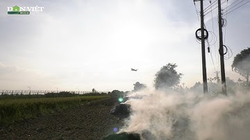 Tình trạng đốt rơm rạ gần sân bay Nội Bài |Dân Việt TV