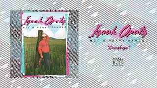 Izaak Opatz - Sundays (Art Track)