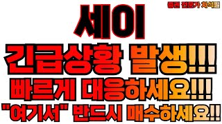 세이코인 투자자 필독! 전문가가 말하는 급등 시점