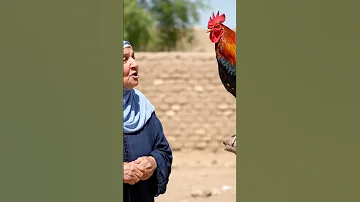 عينها جابت أجل الديك Ai Funny Trendingshorts Explore 