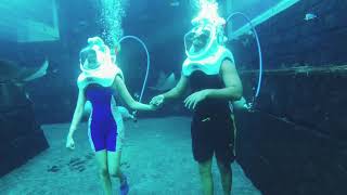 Shark Safari | Atlantis | Aquaventure Waterpark | Live the Marine Life | Dubai