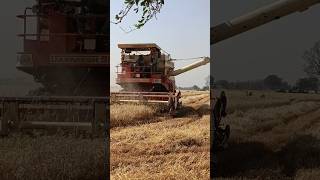 Rinku Ram harvester combane machine gehun cutting soybean cutting mungi cutting chana cutting#s