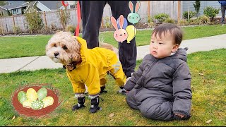 Baby and Dog's Egg Hunt Adventure at the Town Event