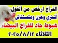 اسعار الفراخ اليوم سعر الفراخ البيضاء اليوم الثلاثاء 2025 8 12 في مصر جمله وقطاعي 