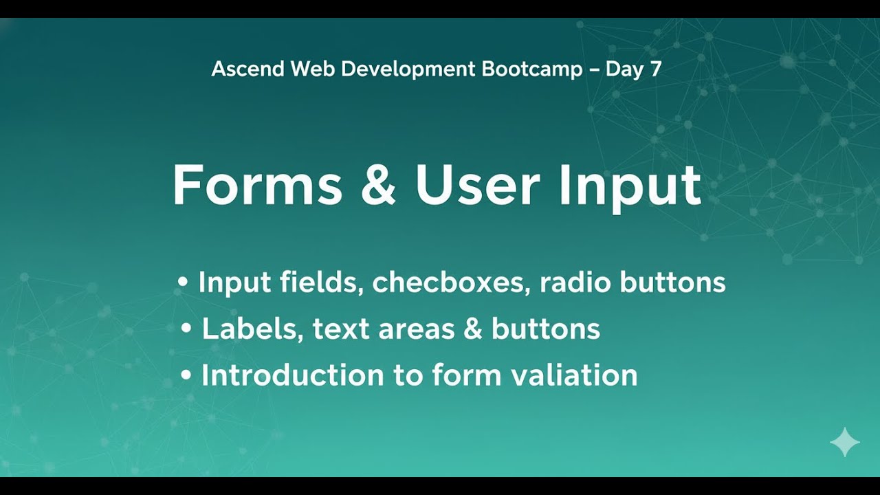 Forms in HTML - YouTube