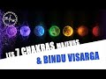Les 7 chakras majeurs  bindu visarga