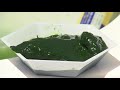 Turning Algae Into Environmentally-Friendly Flip-Flops At UC San Diego