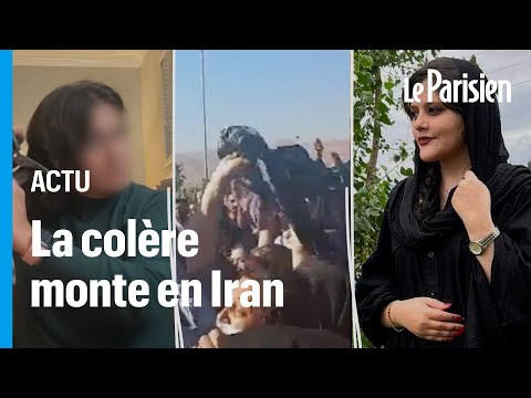 Vidéo: La vie cachée d'un harem : les épouses moustachues du photographe iranien Shah