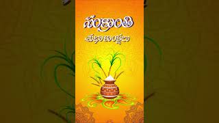 Sankranti Wishes, Whatsapp And Instagram Status, Happy Pongal, Makar Sankranti 