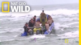 Dive-Team Leader Mark Addison | Shark Attack